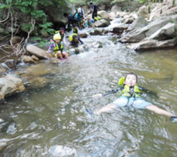 豊かな自然体験をする