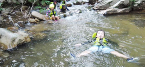 豊かな自然体験をする