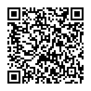 6b582d5fa8cb527b47e22e2e06253037-1788567418.png