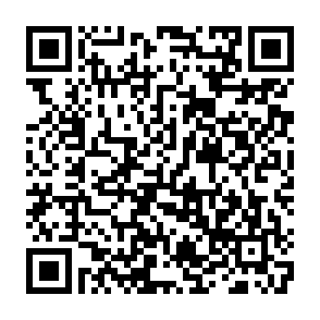 d2646640a4a5a55a8da1c282c8f29819-1791016916.png